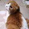 Фото профиля ぽげぽげ