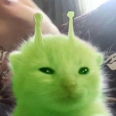hernia's profile picture