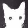 TurdFaggatron4000's profile picture