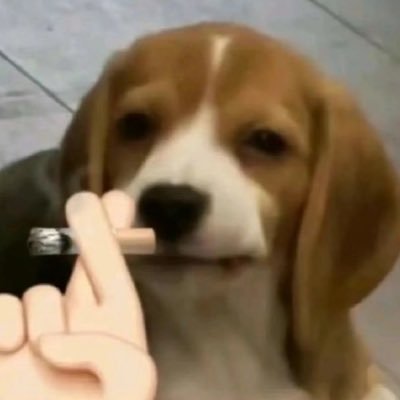 HnrBB2nai's profile picture