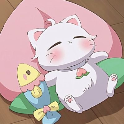 VioletPetrea's profile picture