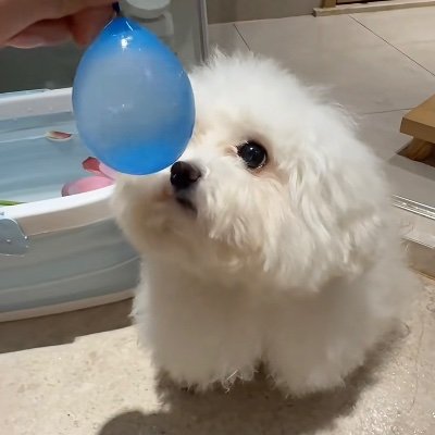 ダイエット3日坊主's profile picture