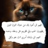 Фото профиля دگيت هہجرگ وشـمـ