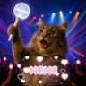 Profilbild von MEME
