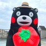 やぎさん🍒🦩's profile picture