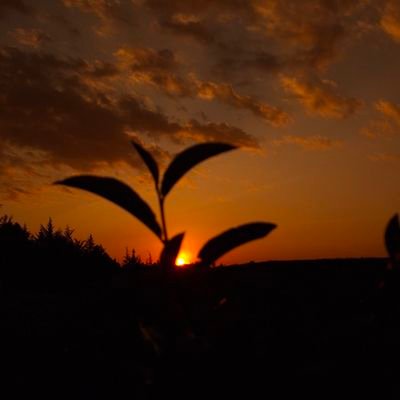 Wangeci's profile picture