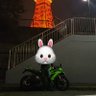 ブルーベリークリム 的头像