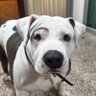 Фото профиля น้องวากิวของพี่