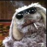 Profilbild von AAGH!