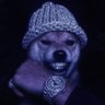 Belmondo's profile picture