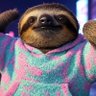 Фото профиля Sloth