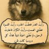 محمد الشاطر's profile picture