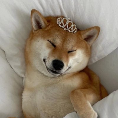 minie_meww's profile picture