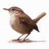 Jenny Wrenn 🐦⬛'s profile picture