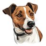 Фото профиля Jack Russell
