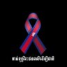 Dofin profil fotoğrafı