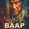 🇵🇸 شمیلہ خان's profile picture