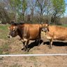 Фото профиля RanchDaddy