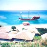 Фото профиля 谷茶前浜のスルルグァ(小)