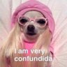 LaDuquesa's profile picture