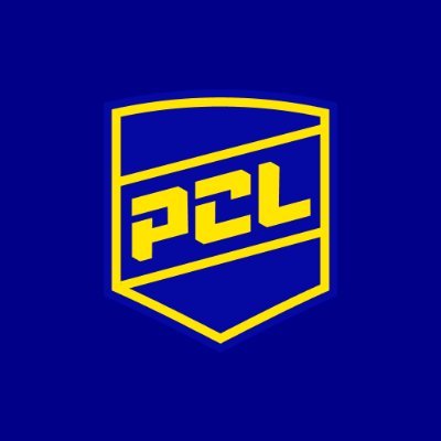 playvs_college's profile picture