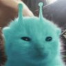 blorp 的头像