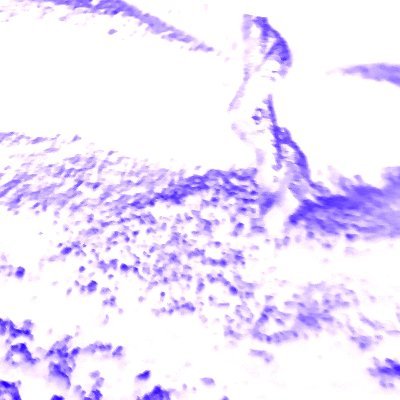 porno_passion's profile picture