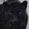 HaPanterim's profile picture
