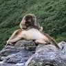 リョウ's profile picture