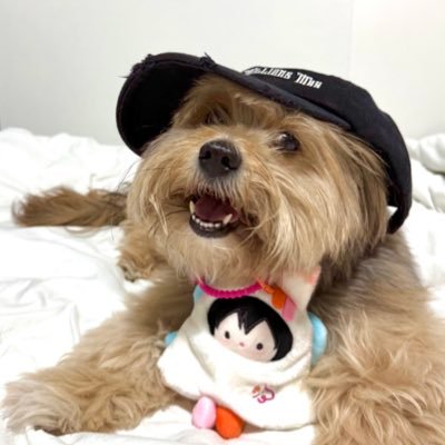 MMaaanao's profile picture