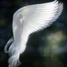 Brenda Sherman's profile picture