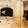 FreethePalestinians profil fotoğrafı