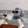 Фото профиля Pampelonne