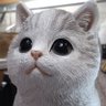 Profilbild von NioDer