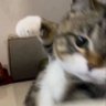 路口遇到红绿灯 profil fotoğrafı