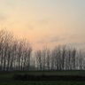 yuantianchao profil fotoğrafı