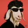 Seb Montoya's profile picture