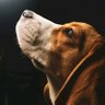 Profilbild von BILLY R