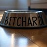 Фото профиля Bitchard