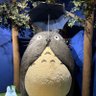 ちょこ profil fotoğrafı