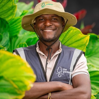 MrBees01's profile picture