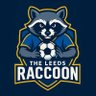 The Leeds Raccoon 的头像