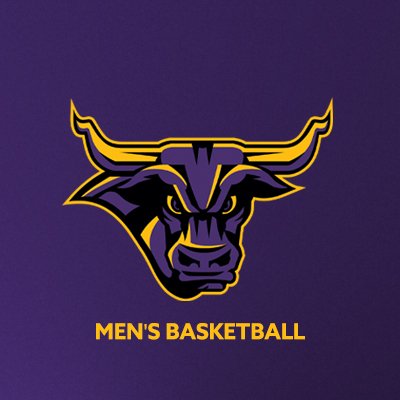 MinnStMBBall's profile picture