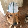 Фото профиля Jax