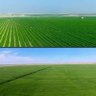 Фото профиля أبو صالح
