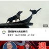 天涯 profil fotoğrafı