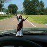 Jim's profile picture