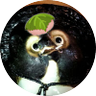 Profilbild von たっつん🍃