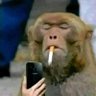 Limey boy 73 profil fotoğrafı