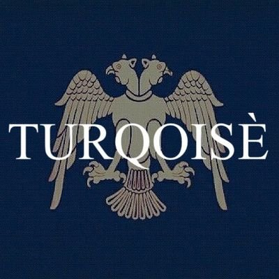 turqoisè's profile picture
